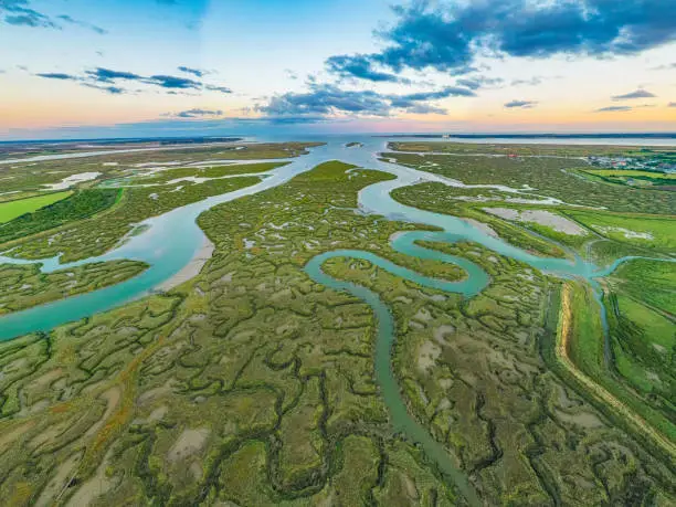 Aerial photo of Tollesbury salt marshes, Essex.