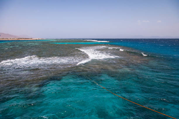 Red sea coast and coral reef. Egypt, the Sinai Peninsula, Dahab.