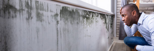 istock Shocked Man Looking At Mold On Wall 1344576833