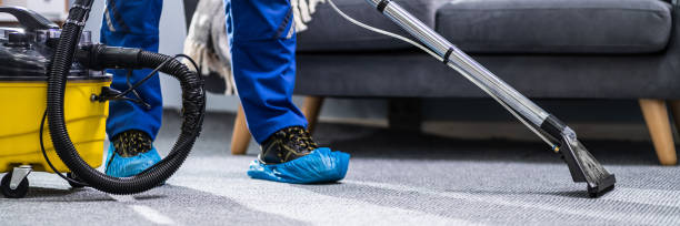 istock Person Cleaning Carpet With Vacuum Cleaner 1344576907