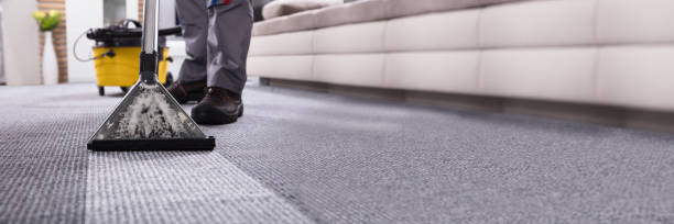istock Person Cleaning Carpet With Vacuum Cleaner 1344576912