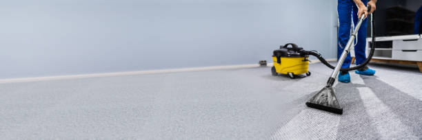 istock Person Cleaning Carpet With Vacuum Cleaner 1344576943