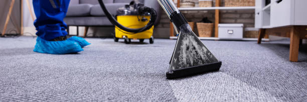 istock Person Cleaning Carpet With Vacuum Cleaner 1344577233