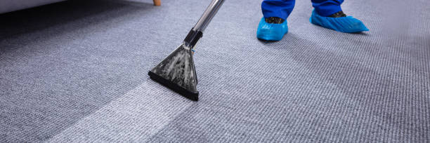 istock Male Janitor Cleaning Carpet 1344577239
