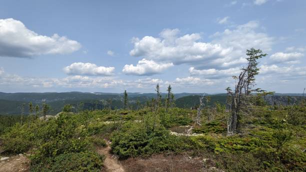 istock Summit of the Sentier du Pioui (Photo6) 1344581388