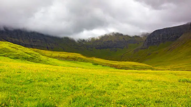 Green grass and mountains a cloudy day at Faroe Islands, Danmark. Rainy day in july.