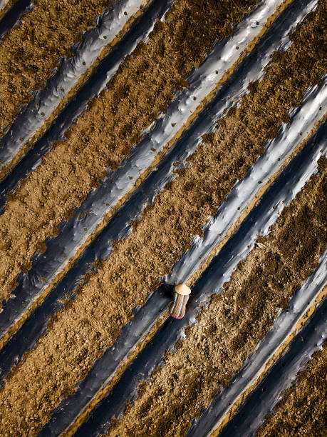 Drone view of a farmer on the vegetable garden, Ninh Hoa, Khanh Hoa province, central Vietnam