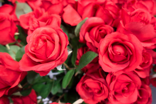 istock Red roses background for wedding or Valentine day. 1344586059