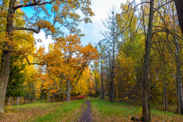 istock Autumn in city parks 1344586641