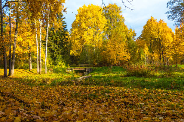istock Autumn in city parks 1344586670