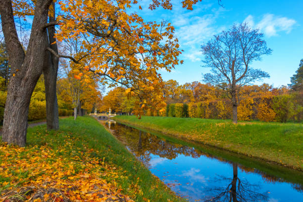 istock Autumn in city parks 1344586687