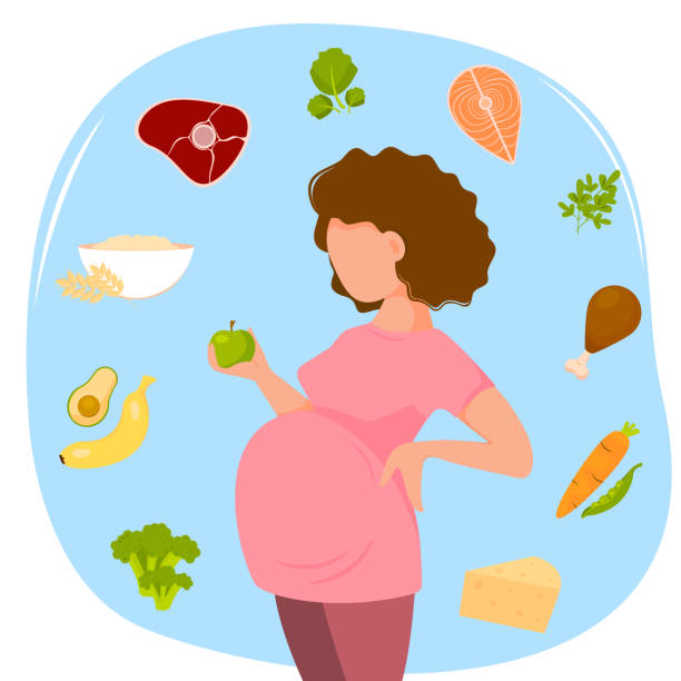 Nutrition of pregnant woman. Food for pregnant woman. Diet during pregnancy. Vector illustration. Nutrition of pregnant woman. Food for pregnant woman. Diet during pregnancy. Vector illustration. pregnant clipart stock illustrations