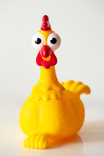 Surprised rubber chicken