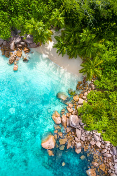 piccola spiaggia segreta nella baia di anse lazio beach, praslin, seychelles - top secret foto e immagini stock