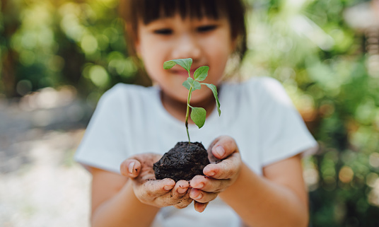 niño plantando un árbol para ayudar a prevenir el calentamiento global o el cambio climático y salvar la tierra. Imagen para el concepto del Día de la Tierra para alentar a las personas sobre la protección del medio ambiente. photo