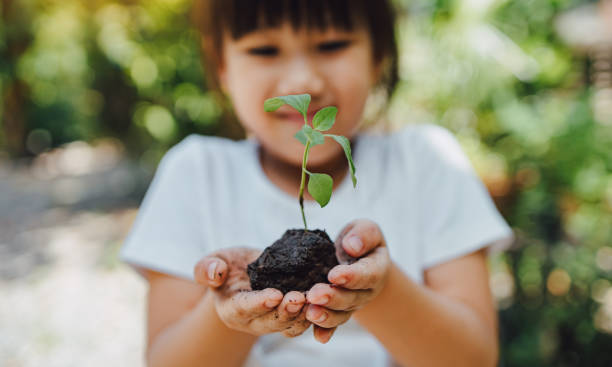 ребенок сажает дерево для помощи в предотвращении глобального потепления или изменения климата и спасении земли. картинка для концепции д� - проблемы окружающей среды стоковые фото и изображения