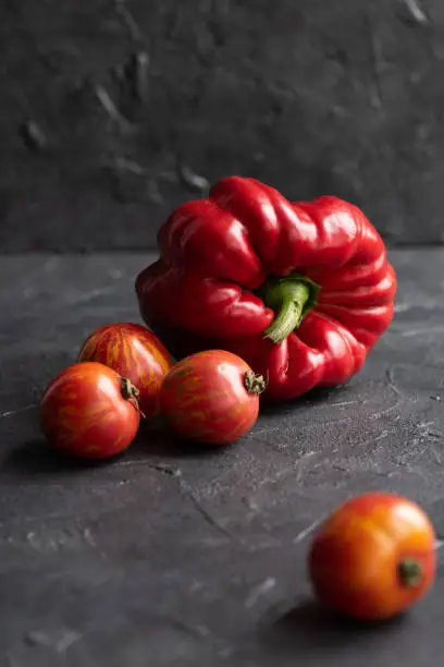 Red bell pepper with stripped red tomatoes on dark plaster background vertical