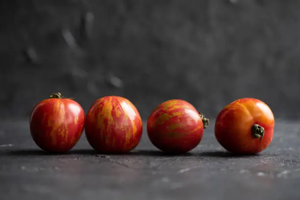 Red stripped tomatoes on dark plaster background selective focus