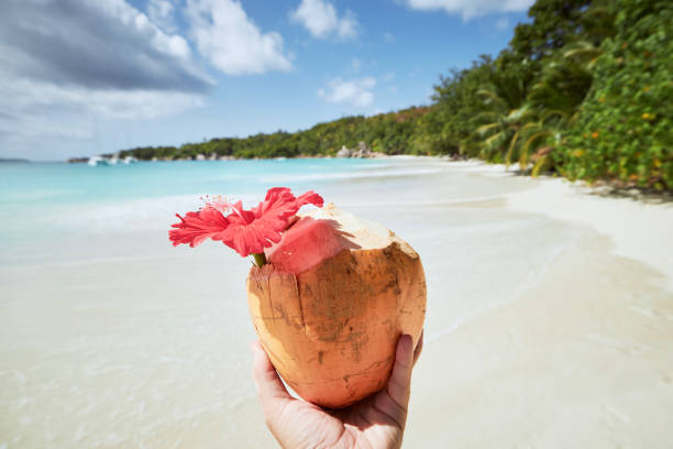 Hand holding fresh coconut drink on idyllic beach Hand holding fresh coconut drink against idyllic white sand  beach and turquoise sea. Anse Lazio, Seychelles. praslin island stock pictures, royalty-free photos & images