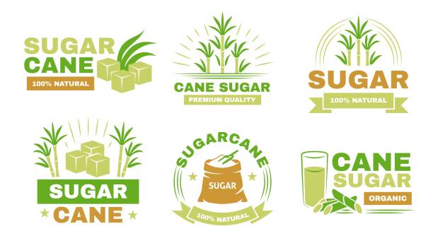 zuckerrohretiketten. embleme für die zuckerherstellung, asiatische landwirtschaft, bio-produkte, werbeaufkleber, stängel und blätter mit text, gesundes ökoprodukt, vektorisoliertes set - sugar leaf stock-grafiken, -clipart, -cartoons und -symbole