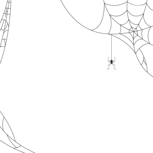 ilustraciones, imágenes clip art, dibujos animados e iconos de stock de fondo de tela de araña de halloween. vector - halloween background