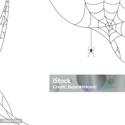 istock Halloween spider web background. Vector 1344593564