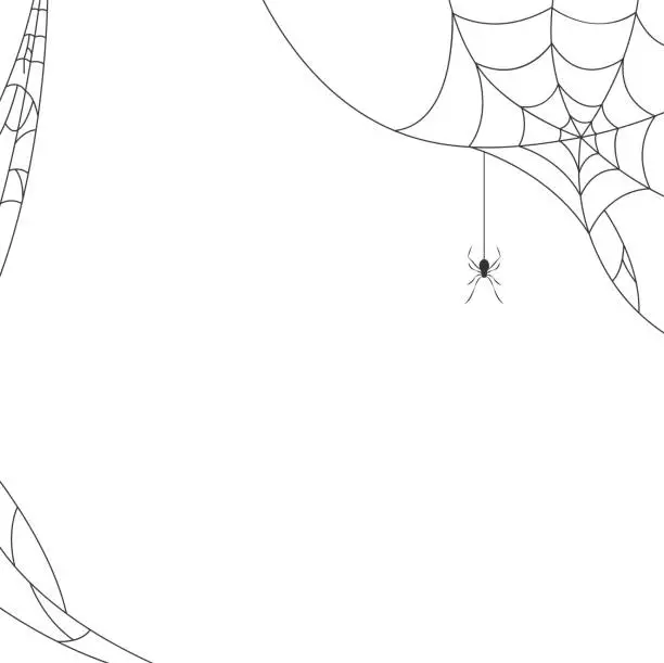 Vector illustration of Halloween spider web background. Vector