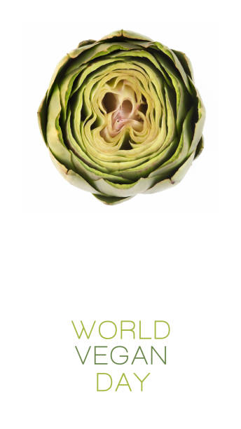 World Vegan day poster design with a top view of fresh artichoke on white background. World food day. Vegetarian day World Vegan day poster design with head of fresh artichoke, top view isolated on white with text and copy space below in vertical format. World food day. Vegetarian day artichoke diet stock pictures, royalty-free photos & images