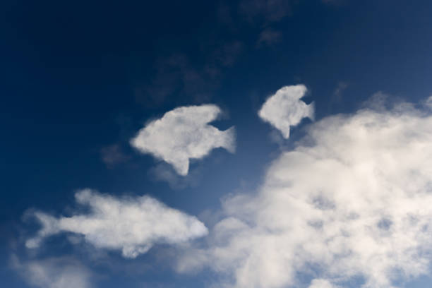 Close-up of clouds shaped like fish stock photo