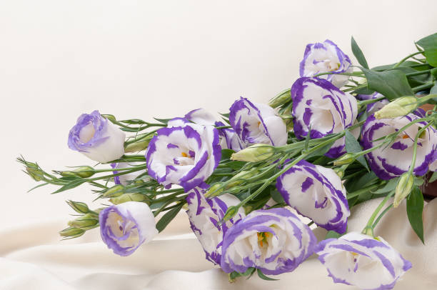 istock delicate blue flowers on an ivory fabric background 1344595389