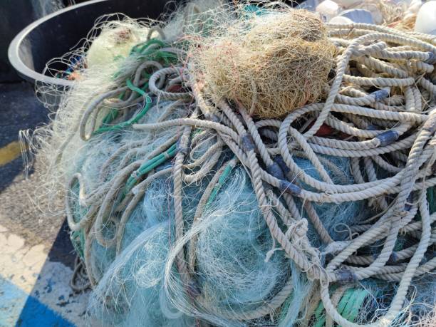 istock Fisherman fish fishing net close up 1344596161