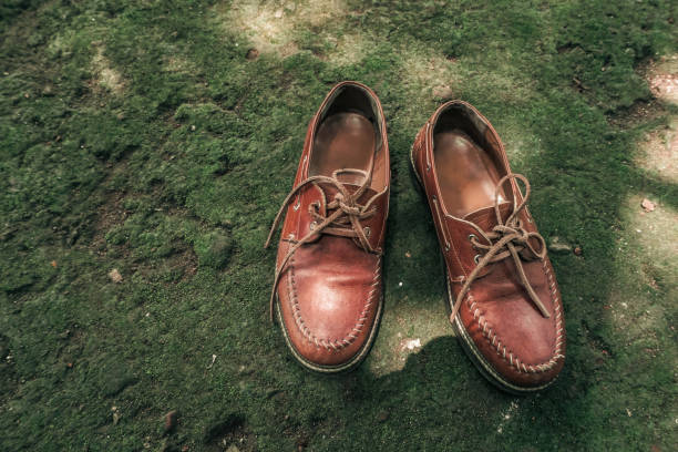 istock Brown leather shoes on the mossy ground 1344596671
