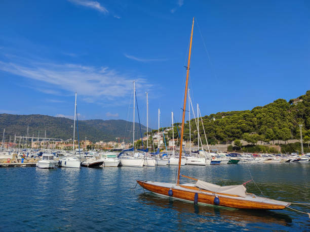 istock Wood sloop sail boat in harbor 1344597451