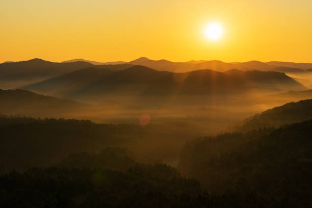 istock Summer sunrise in the Palatinin Forest 1344597527