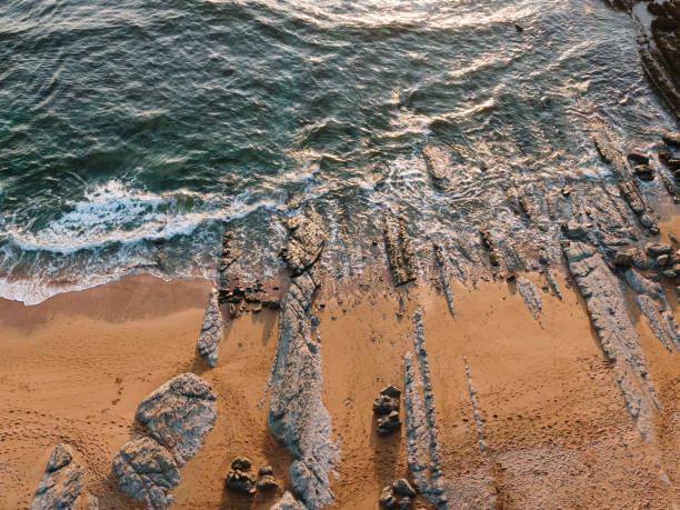 istock Beach with flysch as seen from above 1344598853