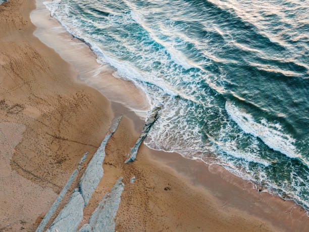 istock Aerial view of a beach 1344599016