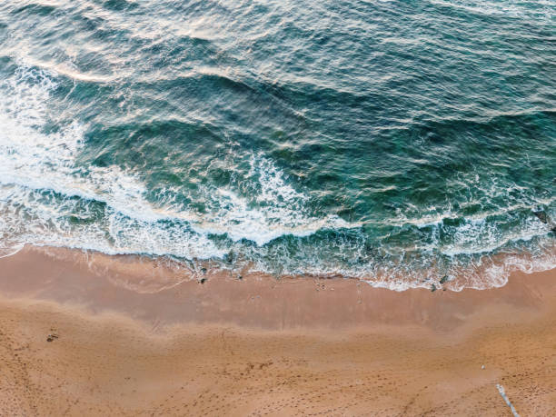 istock Aerial view of a beach 1344599121