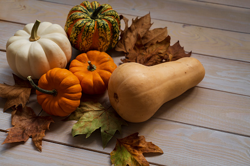 variety of pumpkins on wooden table autumn background