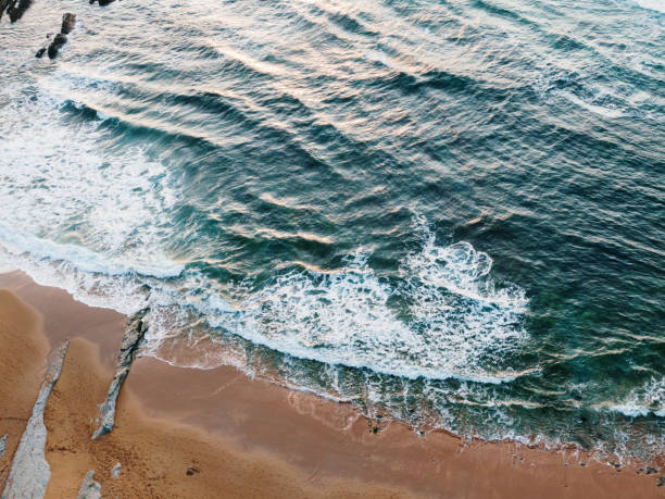 istock Aerial view of a beach 1344599234