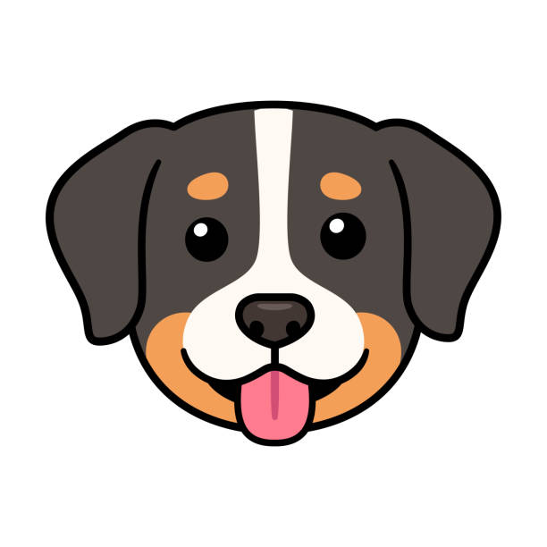 Cute Cartoon Bernese Mountain Dog Face Stock Illustration - Download Image  Now - Bernese Mountain Dog, Dog, Animal Head - iStock