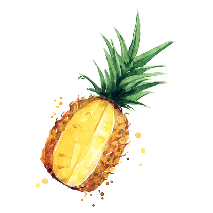 juicy ripe yellow pineapple watercolor ilustration