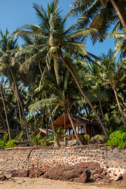 Wooden bungalows on Colva Beach