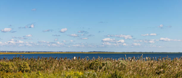 istock Scenes from Jones Beach Bike Path 1344602533