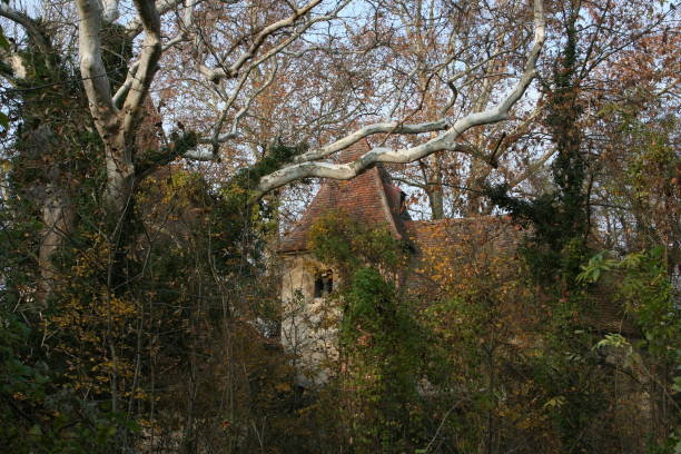 istock Chapel ruin in Pottendorf in Austria 1344603504