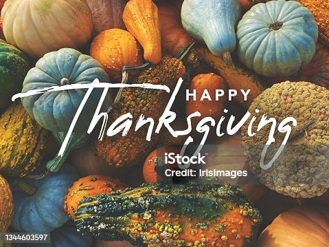 istock Happy Thanksgiving Holiday Greeting Card Handwritten Calligraphy Text Design with Fall Pumpkins, Squash and Gourds Colorful Background 1344603597