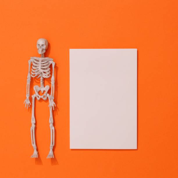 istock White Vertical card Mockup. Styled Stock Photography 1344607725