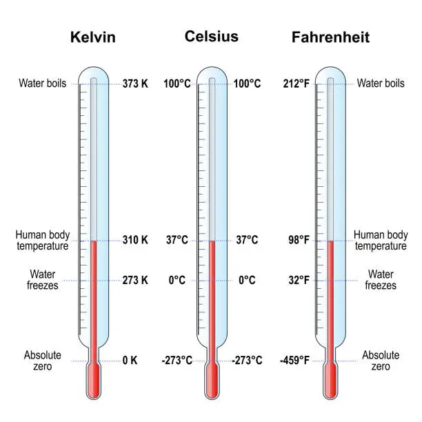 Vector illustration of temperature scales. Celsius, Fahrenheit and Kelvin thermometers.