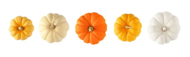 Variety of autumn pumpkins, top view isolated on a white background. Assorted shades of orange and white.