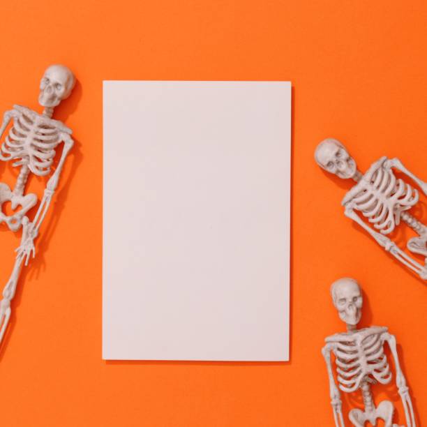 istock White Vertical card Mockup. Styled Stock Photography 1344618520