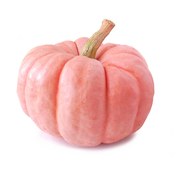 Pink autumn pumpkin isolated on a white background